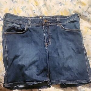 Carhartt Women's Blue Jean Shorts